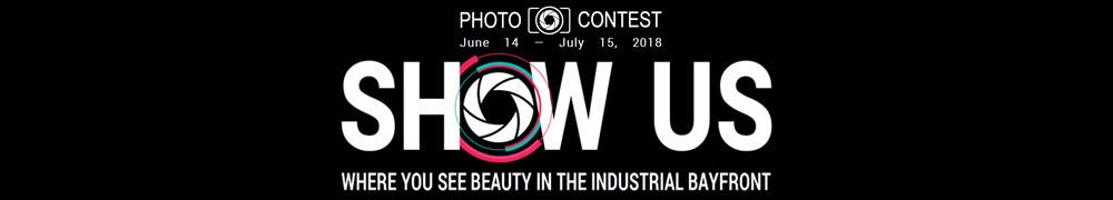 Beauty on the Bayfront – vote for your favourite!